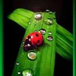 Michaela Rejmanová - Instagram Profile Picture of Michaela Rejmanová (@rejmanovam) on Instagram