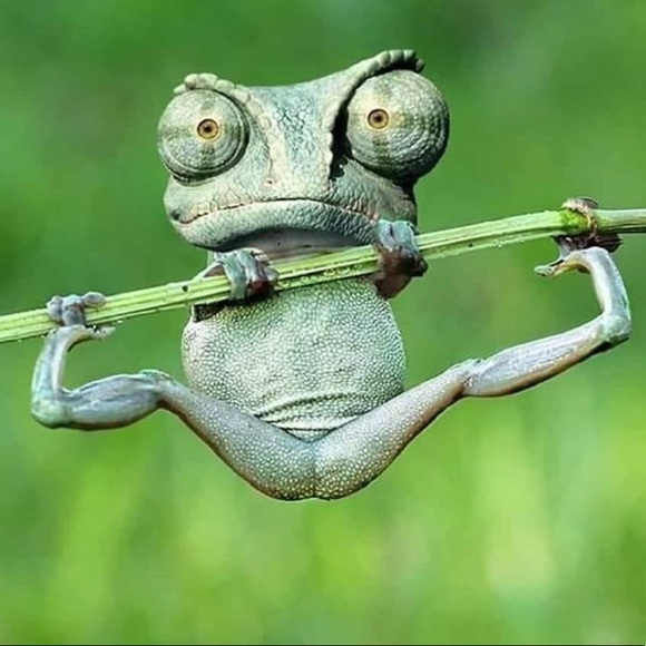 Profile Picture of Guylaine Berube (@guylaineb73) on Poshmark