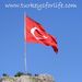 Profile Picture of Turkey's For Life (@turkeysforlife) on Pinterest