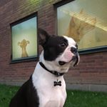 Profile Picture of Wilson Knight (@sirwilsonknight) on Instagram