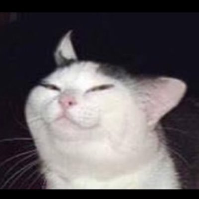 Profile Picture of Michael Mendelson (@Gerbiee_) on Twitter