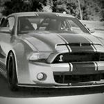 Jonathan Samson Tardif - Instagram Profile Picture of Jonathan Samson Tardif (@samsontardif) on Instagram