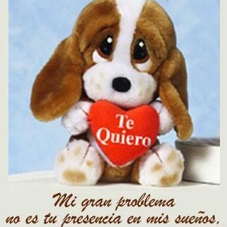 Profile Picture of Rafael Alzamora (@rafaalzamora1) on Twitter