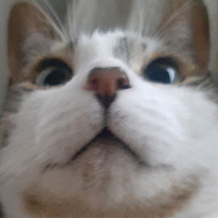 Profile Picture of Fabian Pazmiño (@fabian.pazmio6) on Tiktok