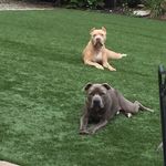 Profile Picture of Mark Werner (@mark.e.werner) on Instagram