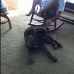 Profile Picture of Ray Kern (@rayk98) on Instagram