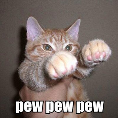 Profile Picture of Shane (@shanethacker) on Twitter