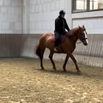 Profile Picture of Larissa Krug (@Larissa-Krug) on Facebook