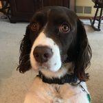 Profile Picture of John Simon (@john_simon_k) on Instagram
