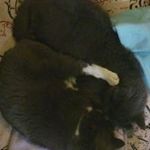 Profile Picture of Diane Faulkner (@diane.flora.50) on Instagram