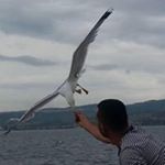 Profile Picture of Erol Kılıç (@erol7565) on Instagram