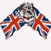 Profile Picture of Robin Parsons (@@gadgetman770) on Tiktok