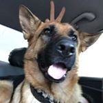 Profile Picture of Jeffrey (@7insideseven7) on Instagram