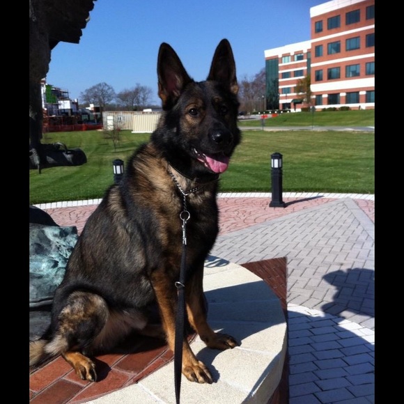 Profile Picture of Zoe Walsh (@ice7358) on Poshmark