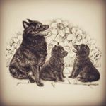 Profile Picture of Mary Buchholz (@marybuchholz) on Instagram