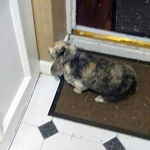 Profile Picture of Stephen Greene (@stephengreene766) on Flickr