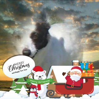 Profile Picture of Tony Coates (@tony.coates.984) on Facebook