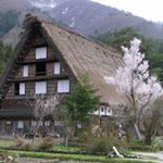 Profile Picture of Pearl Chou (@pearl.chou.1) on Instagram