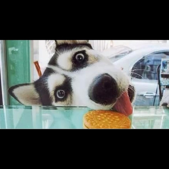 Profile Picture of Abel Tejeda (@abelt12) on Poshmark