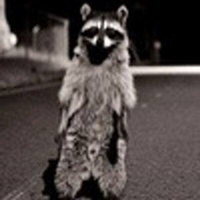 Profile Picture of Dora Daniels (@BlankenshipDora) on Twitter