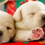 Profile Picture of catherine chung (@cathrine.chung24) on Instagram