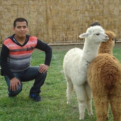 Profile Picture of Daniel Murga Gtrrz (@danielmurga20) on Twitter