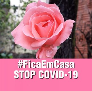 Profile Picture of Lucia Botelho (@lucia.botelho.77) on Facebook