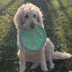 Profile Picture of Richard Cindy Blachly (@richard.blachly.3) on Facebook