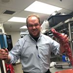 Profile Picture of David Fettes (@dave.fettes) on Instagram