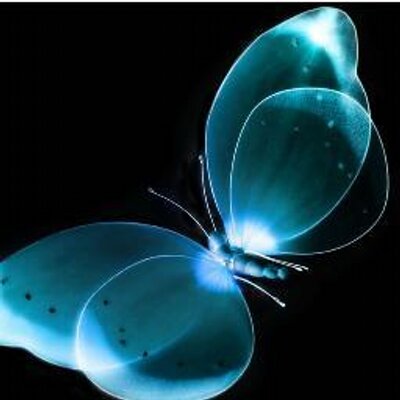 Ada AraUjo - Twitter Profile Picture of Ada AraUjo (@adaaraujo1) on Twitter