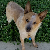 Profile Picture of Deborah Daniels (@deborahdaniels3106) on Youtube