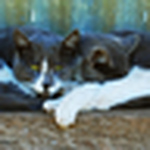 Profile Picture of July Monte Arteaga (@La Julio) on Flickr