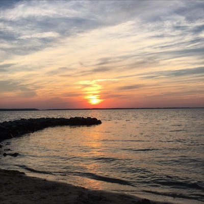 Profile Picture of Tamara Hall (@tamarahall15) on Twitter