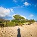 Profile Picture of Dustin Wong (@DWongPhotos) on Pinterest