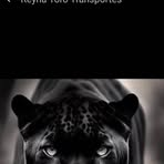 Profile Picture of Jaime Almendarez (@jaime.almendarez.162261) on Facebook