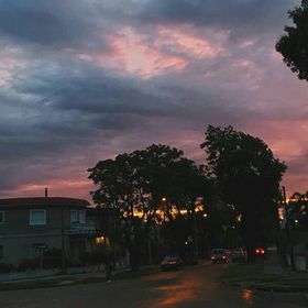 Profile Picture of Daniela Elena (@cerratod42) on Pinterest