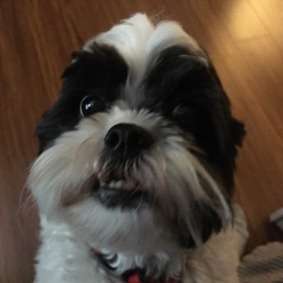 Profile Picture of Tom Jewkes (@LorettaJewkes) on Twitter