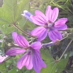 Profile Picture of Patterson Nylah (@Patterson-Nylah) on Facebook