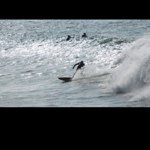 Profile Picture of James Adams (@tynesidesurfer) on Instagram