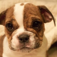 Profile Picture of Mckenna Hayes (@mckenna-hayes-2) on Quora