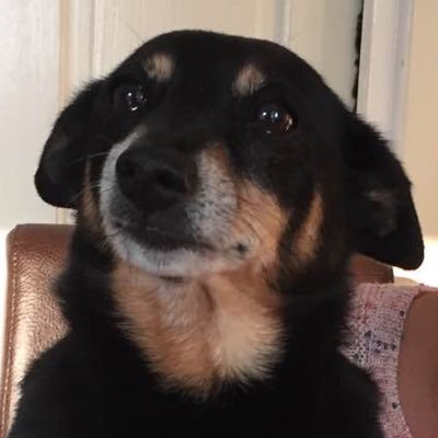 Profile Picture of Steven Peet (@stevepeet7) on Twitter