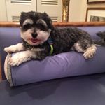 Profile Picture of Jane Stubbs (@janestubbs) on Instagram