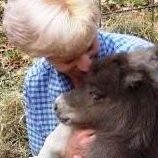 Profile Picture of Paula McChesney (@chestermcchesney) on Pinterest