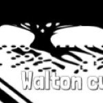 Profile Picture of Craig Walton (@walton_woodwork) on Instagram