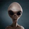 Profile Photo of Scott Chen400 (@roswell_incident) on Tiktok