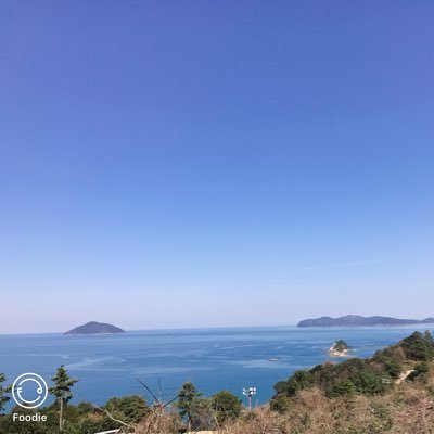 Profile Picture of Zhang Wenping (@DpX5j) on Twitter