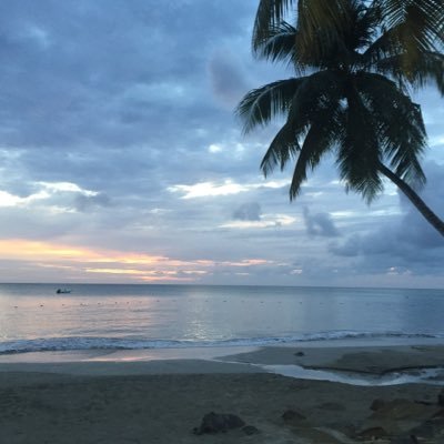 Peter J. Weinbaum - Twitter Profile Picture of Peter J. Weinbaum (@pjdubz) on Twitter