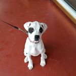 Profile Picture of mg (@marilynmitchellgoode) on Instagram