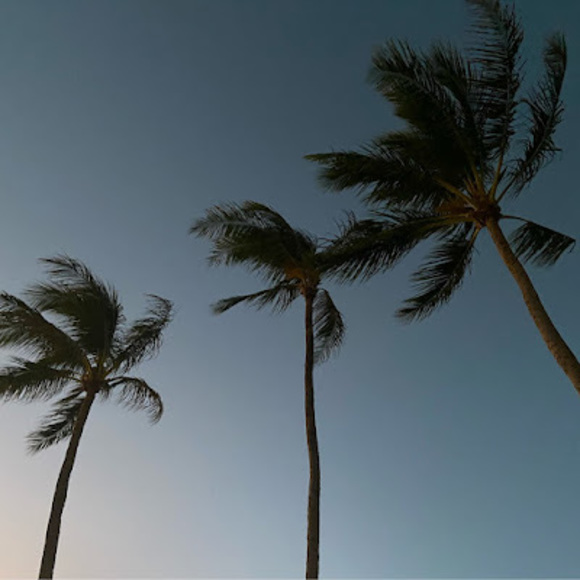 Profile Picture of Charlie Moyer (@charliemoyer) on Poshmark