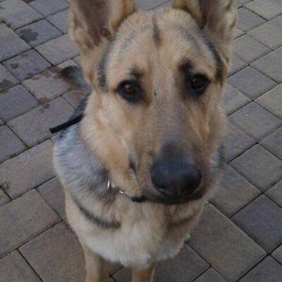 Profile Picture of Kevin Farrell (@KPFarrell) on Twitter